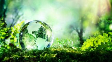 Faculty Research: Environmental Studies